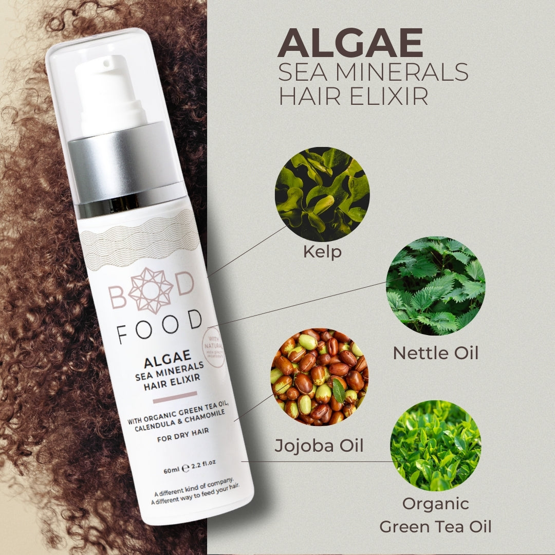 An infographic showing some of the main ingredients found in BodFood's Algae Sea Minerals Hair Elixir. This includes Kelp, Nettle Oil, Jojoba Oil, and Organic Green Tea Oil.