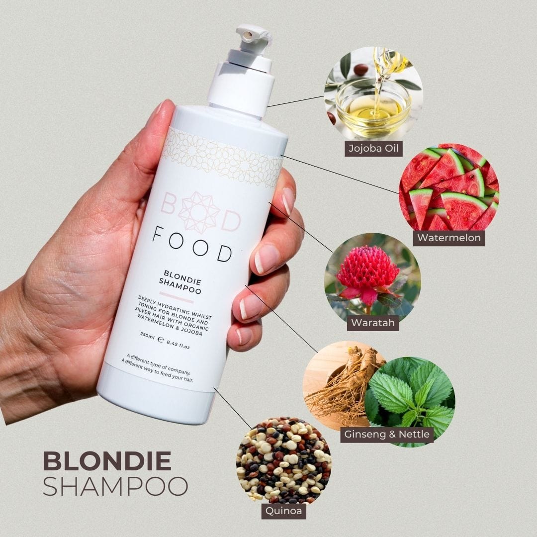 Photo infographic of the main ingredients found in the Blondie Shampoo